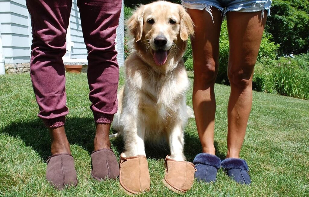 Fireside by Dearfoams Mens Grafton Shearling Indoor/Outdoor Clog Slipper Fireside by Dearfoams Mens Grafton Shearling Indoor/Outdoor Clog Slipper